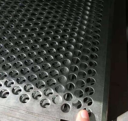 SS309S a perforé la plaque d'acier de solides solubles le trou que rond a poinçonné la feuille 10mm