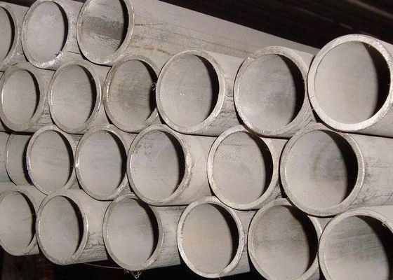 tuyau duplex 1000mm du tube 2520 d'acier inoxydable de cavité de 8mm SA213 TP310S